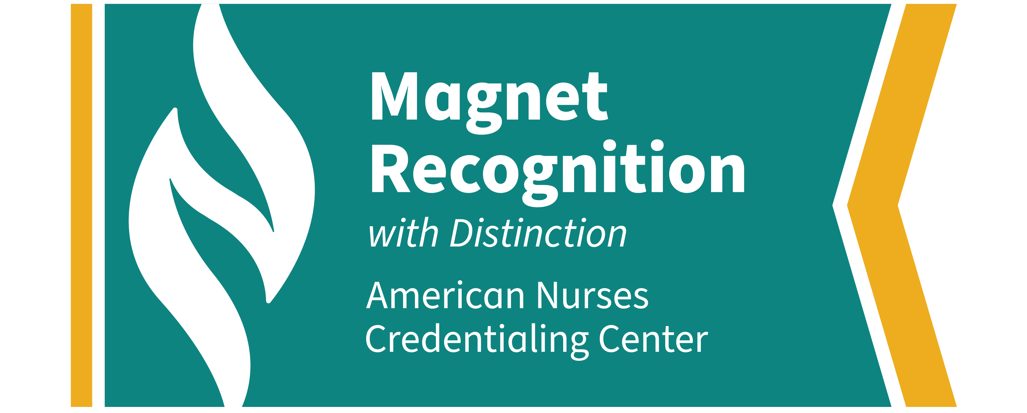 A Proud Partner of DiversityNursing.com 2026 (logo)