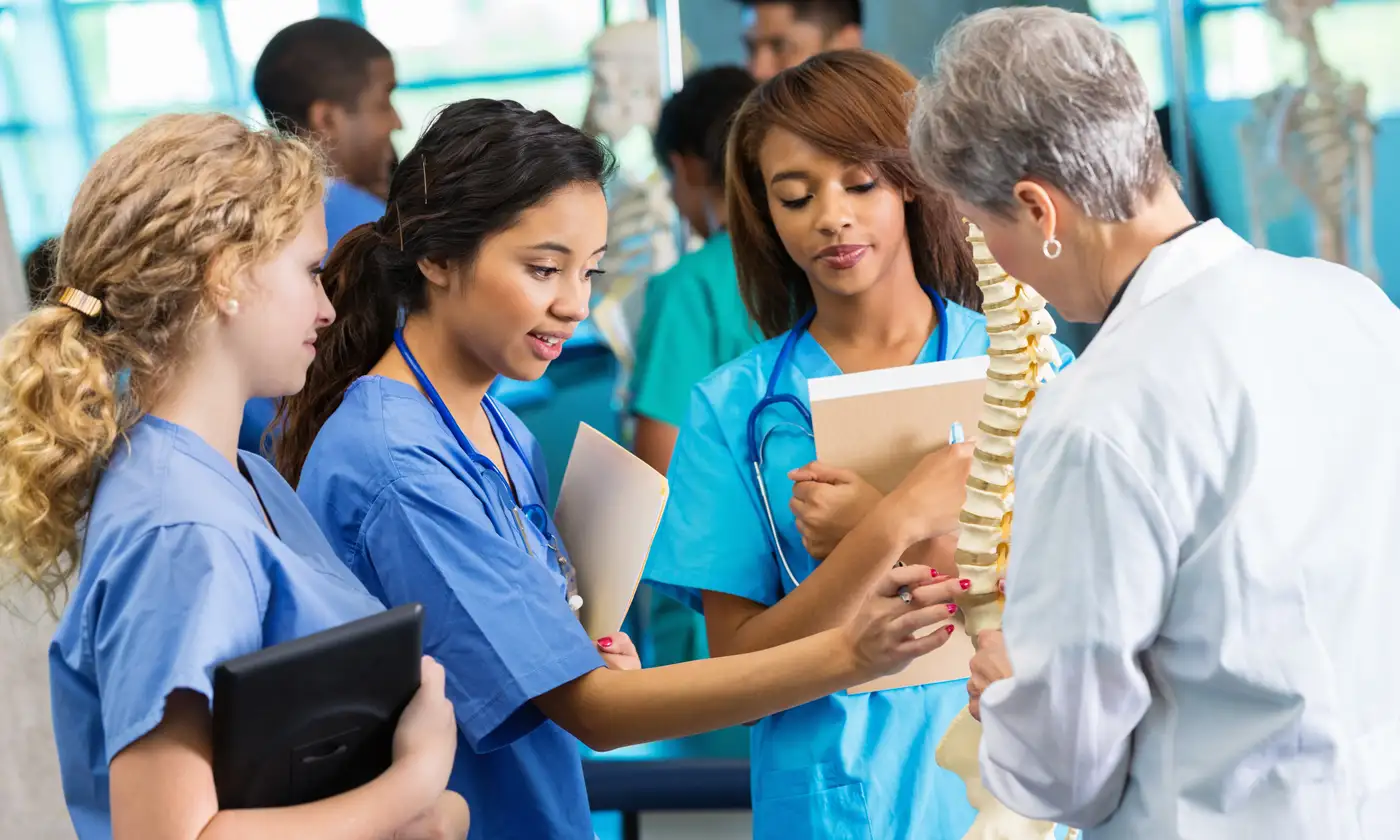 Nursing students looking at spine model in class